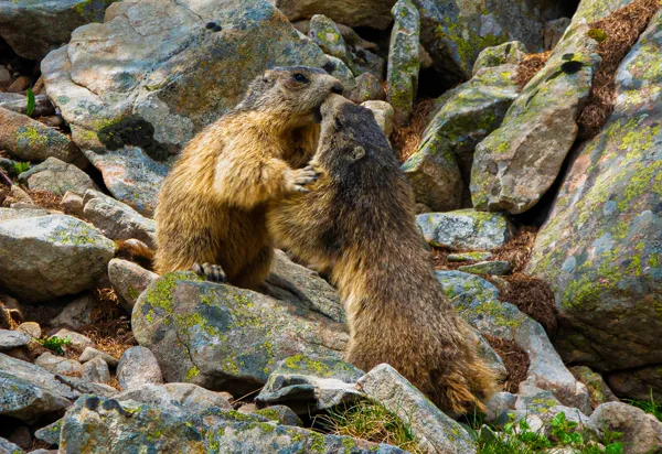 rencontre
