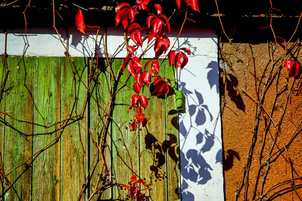 Couleurs automnales