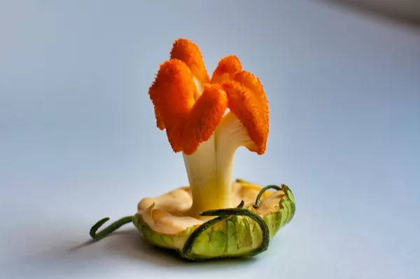 macro-photo