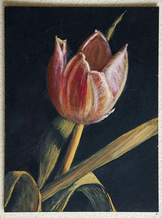 Tulipe au noir (craie sur carton)