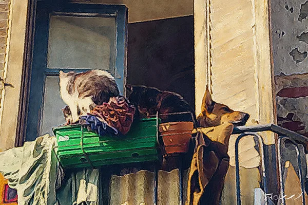 comme chien et chat (d'après une photo prise à Syracuse) 